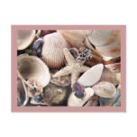 Sea Shells by the Shore postcards
