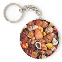 Sea Shells Keychains