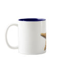 Sea Shells mugs