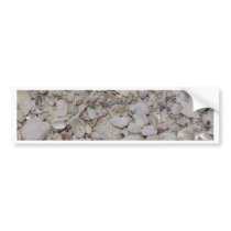 Sea shells Of sanibel Bumper Sticker