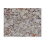 Sea shells Of sanibel Postcards