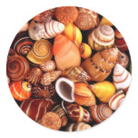 Sea Shells Round Sticker