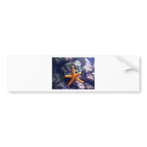 Sea Star In Aquarium Bumper Stickers