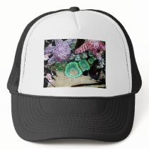 Sea Stars Anemones Mesh Hats