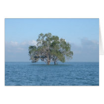 Sea Tree Cards