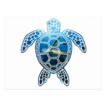 sea turtle-2 post card