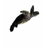 Sea turtle Black Fitted T-shirt