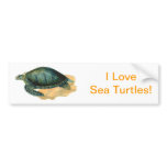 Sea Turtle bumper stickers