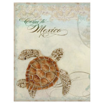 Sea Turtle Coastal Beach DestinationTravel Info