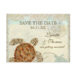 Sea Turtle Coastal Beach - Save the Date Postcard