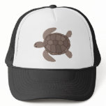 Sea Turtle hats