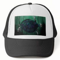 Sea Turtle