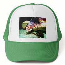 Sea Turtle Hat