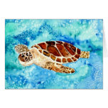 sea turtle marine sealife watercolor painting cards