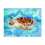 sea turtle marine sealife watercolor painting postcards