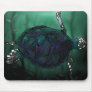 Sea Turtle