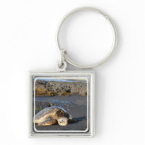 Sea Turtle Square Keychain