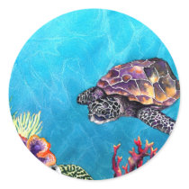 Sea Turtle Stickers