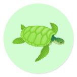Sea Turtle