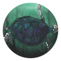 Sea Turtle