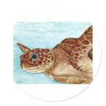 Sea Turtle Round Sticker