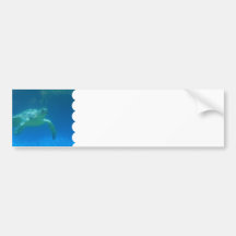 Sea Turtle Swim Bumper Sticker