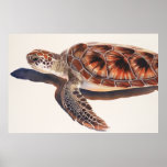 Sea Turtle Wildlife Watercolor Art posters