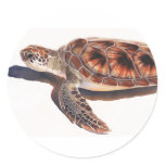 Sea Turtle Wildlife Watercolor Art stickers