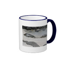 Sea Turtles in Kona, Hawaii Mugs