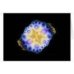 sea urchin card
