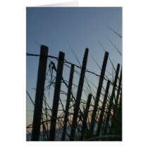 Sea View Card