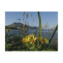 Seabeach Senecio, Unalaska Island Post Cards