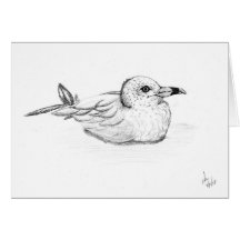Seagul on Hull Greeting Cards
