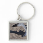 Seagull and shadow. Neat effect on sand! keychains