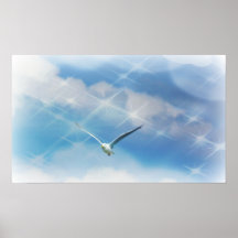 Seagull and Sparkles Poster