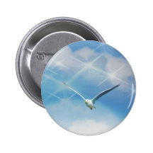 Seagull Bird in Flight Photo Buttons