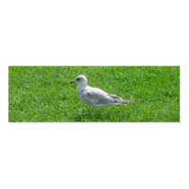 Seagull Bookmark Business Cards