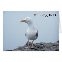 Seagull Cards