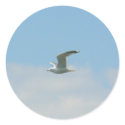 Seagull Flying Over Ocean stickers