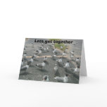 Seagull gang 2, Lets get together cards