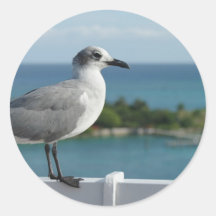Seagull In Paradise Stickers