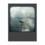 Seagull in Winter Postcard