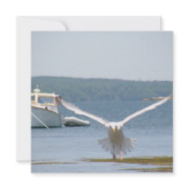 Seagull Invitations
