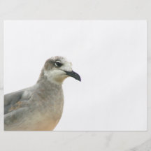 Seagull Left Corner of frame Personalized Flyer