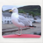 Seagull Mousepad
