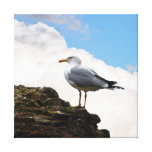 Seagull on a Brick Wall in Rome Wrapped Canvas Canvas Prints