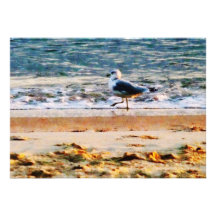 Seagull on Virginia Beach at Dawn Personalised Invites