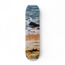 Seagull on Virginia Beach at Dawn