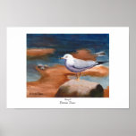 Seagull Poster