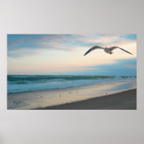 Seagull Print